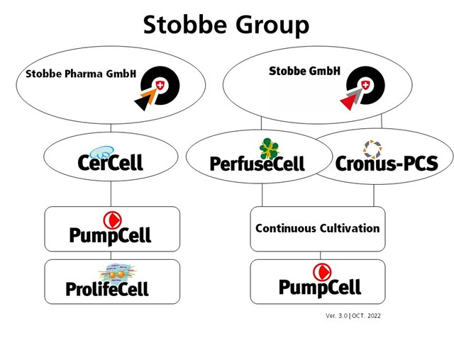 Stobbe Group Structure